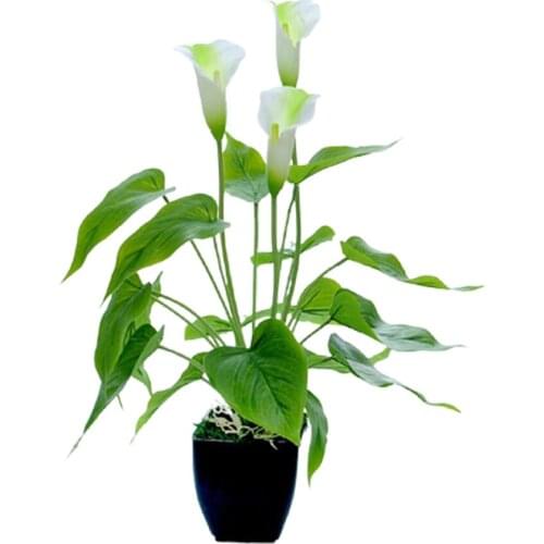 Greenery Plant Bonsai Ornaments Calla Lily Artificial Flowers With Basin Simulation Decoration