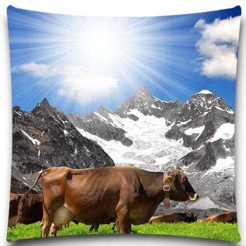Warm sunshine and lovely ox pattern Square Pillow Case Cotton polyester 16" 18" 20" Inches Bedroom Office Throw Decorative