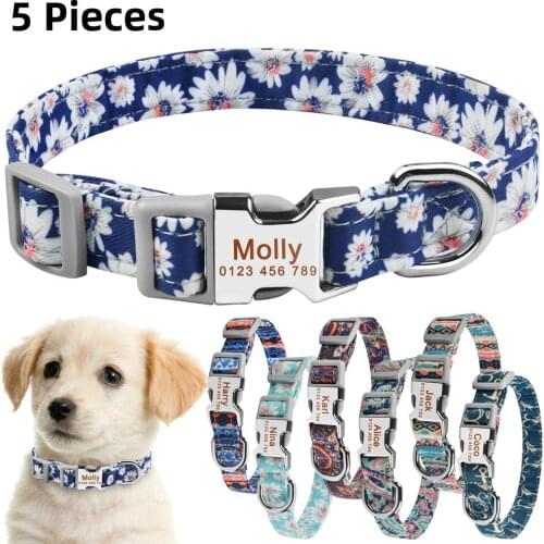 AiruiDog Personalized Dog Collar Nylon Small Medium Large Puppy Pet Engraved Name Collars Dog Supplies Cat Collars 5 Pieces