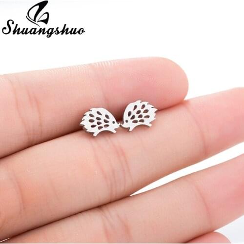 Shuangshuo Women's Silver Earrings
