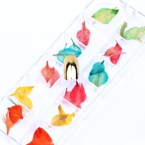 12 Colors Patterns 3D Dry Flowers Stickers Dried Nail Art Decoration DIY Manicure Tools w/box