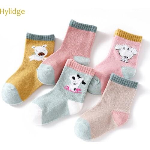 Hylidge 5 Pairs/lot Cute Cartoon Girl Boy Socks Lovely Dog Funny Socks for Children Kids Ankle Long Socks Baby Toddler Socks