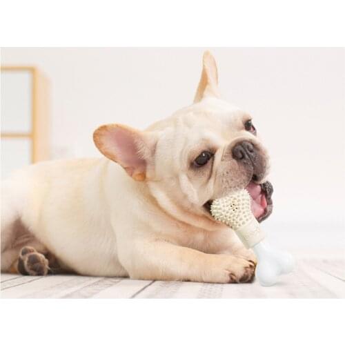 HOOPET Durable Dog Chews Toy Dog Toothbrush Stick Tooth Cleaning Point Massage Small Dog Toothpaste Pet Toothbrush Molar