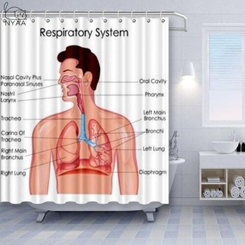 NYAA White Shower Curtain Polyester Waterproof Anatomy Organ Body Structures Education Curtain For Bathroom Decoration
