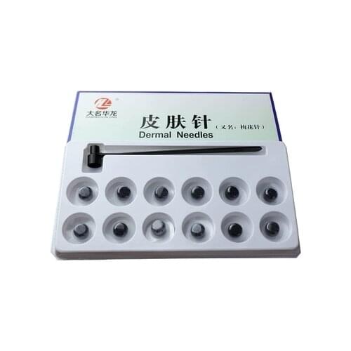 12 heads can change dermal needle plum-blossom needle seven-star acupuncture needles free shipping