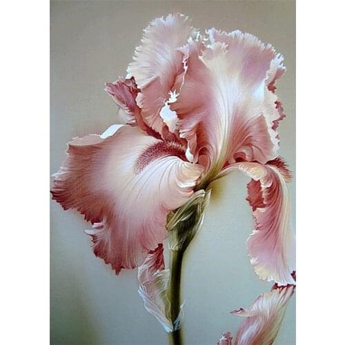 Iris Tectorum Flower Diamond Painting Floral Round Full Drill 5D Nouveaute DIY Mosaic Embroidery Cross Stitch Home Decor Gifts