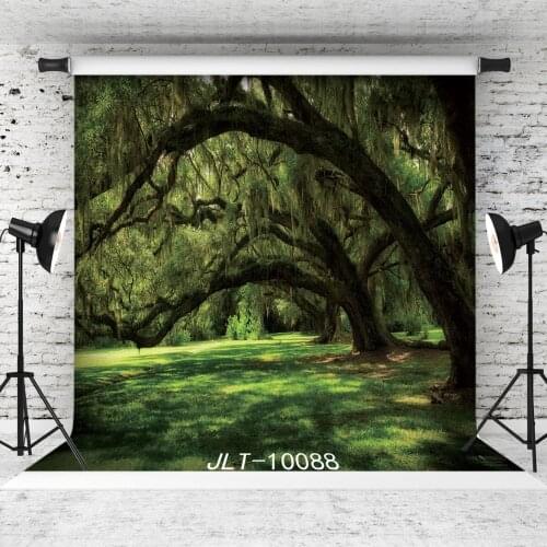 Forbidden Forest Grass Photographic Background for Children Baby Shower Vinyl Cloth Printed Backdrop Photocall Photo Studio