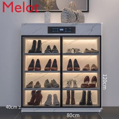 Household High-End Luxury Smart Disinfection Deodorant Shoe Cabinet Fashionable Simple Large Capacity Floor Shoe Cabinet