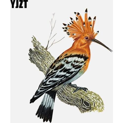 YJZT 12.3CM*16.6CM Hoopoe Yellow-brown Toucan PVC Window Decoration Car Sticker 11-01493