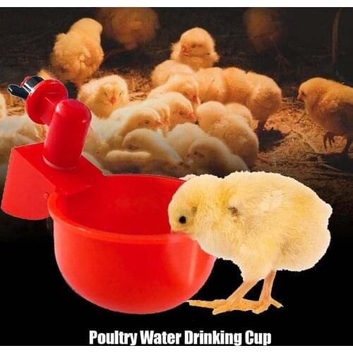 Feed Automatic Bird Coop Poultry Chicken Fowl Drinker Water Drinking Cups Livestock Drinking Cup Poultry Tools