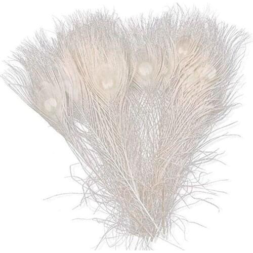 50 PCS/Natural White Peacock Feathers in the Eye, 10 to 12 Inches of the Peacock Feather Wedding Decoration