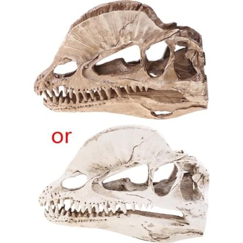 2021 New Dilophosaurus Dinosaur Skull Resin Crafts Skeleton Teaching Model Halloween Home Office Decoration