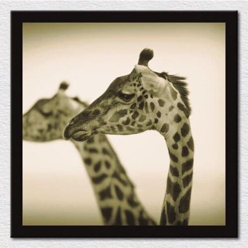 Quality Canvas prints painting of giraffe from picture Africa animals photos andy biggs to hang on sofa wall free shipping