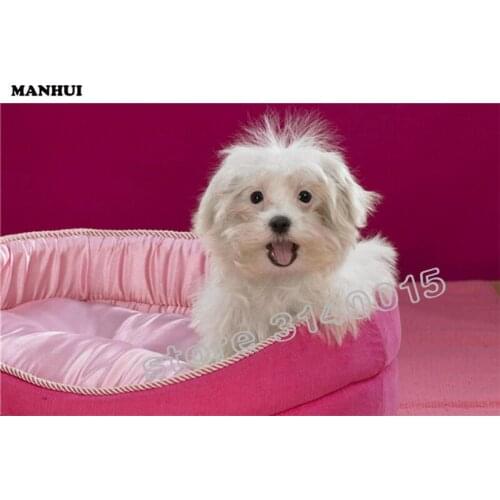 Diamond Embroidery Small dog| DIY 5d Daimond Painting Beading Embroidery Kits For Needlework Picture From Photos Painting BFC367