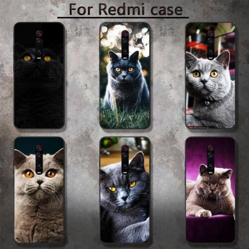 British shorthair cat Phone Case for RedMi 5 5plus 6 Pro 6A S2 4X GO 7A 8A 7 8 9 K20 case