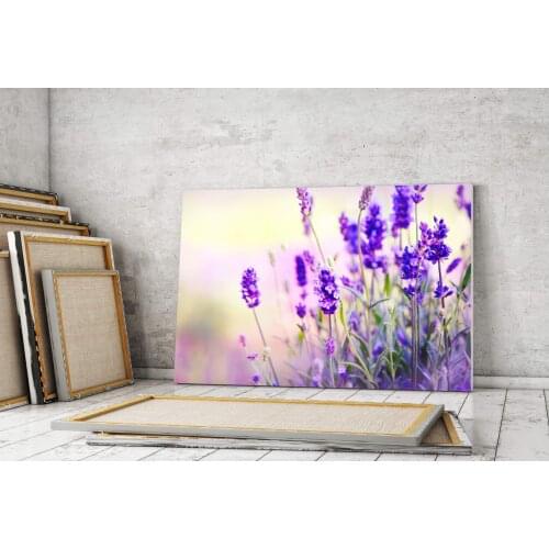 Dekor Vinil Wall Paintings