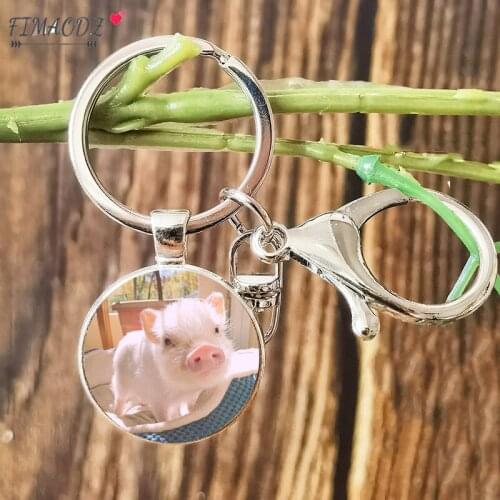 FIMAODZ Cute Pig Keychain Pet Animal Photo Glass Cabochon Lobster Clasp Metal Key Chain Women Car Bag Keyring