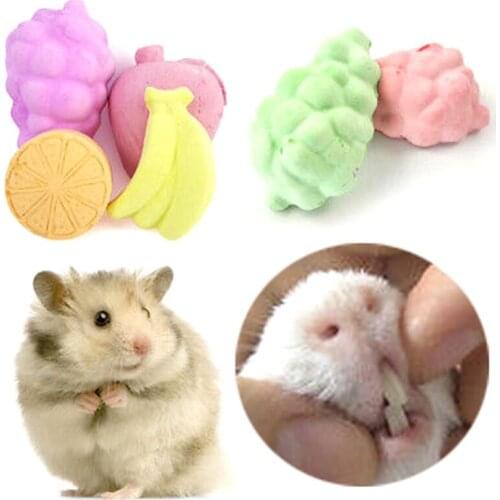 5pcs Fruit Chew Toy Hamster Rat Chinchilla Rabbit Teeth Grinding Mineral Stone