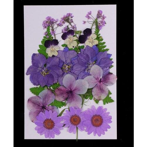 Multiple Mix Natural Pressed Dried Flowers Leaves for DIY Art Craft scarpbooking greeting card making decoration 2.5-3.5cm