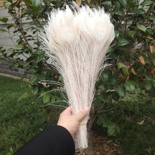 Wholesale 500 PCS Pretty Beige Natural Feathers 16-18inches/40-45cm Hat Craft Making Wedding Party Decoration Accessories