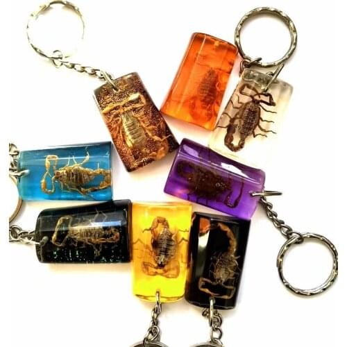 YQTDMY 12 ps fashion real gold scorpion jewelry keychain