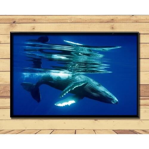 Humpback Whale Ferocious Giant Marine Animal (15) Wall Posters Prints Silk Art Painting For Home Wall Bedroom Decor