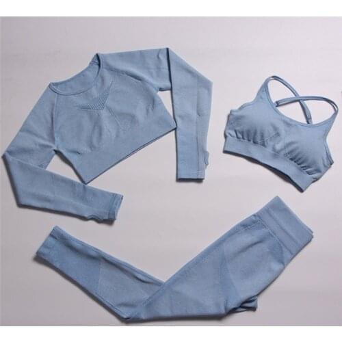 2/3 Piece Set Women Gym Clothes Yoga Set Seamless Fitness Professional Sports Clothing for Women Workout Leggings Bra Sportswear