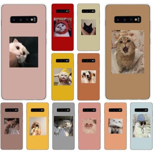 18AS Cute cat Soft Silicone Tpu Cover phone Case for Samsung Galaxy S10 S20 Plus case