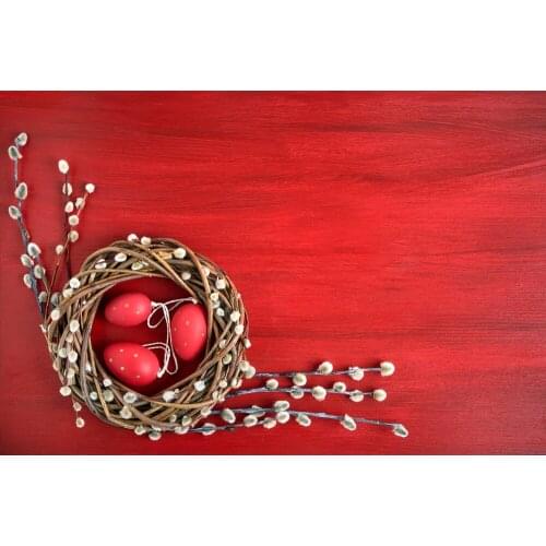 Easter Red Eggs Photography Background Background For Photography Graduation Backdrops For Photography E190127A08