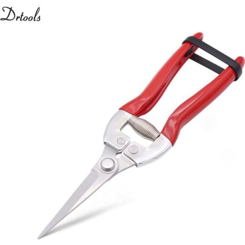 Drtools Gardening Tools Pruning Shears Fruit Picking Scissors Stainless Steel Handle Household Potted Trim Weed Branches Scissor