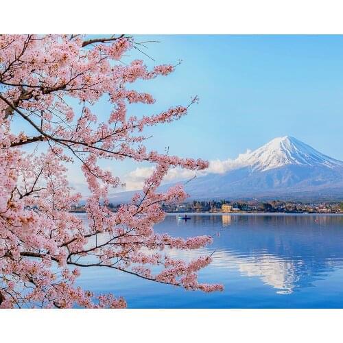 "Sakura of Mount Fuji" picture DIY digital painting by number painting Christmas birthday unique gift