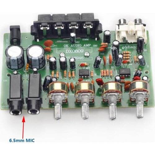 With Two 6.5mm MIC Digital Kara OK Amplifier Board DC 12~15V TDA8946 60w Output Power Amplifiers