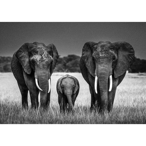 5D DIY Diamond Painting "Retro elephant" 3D Diamond Embroidery Animal Full Square Pictures Of Rhinestones Decor Painting TY519