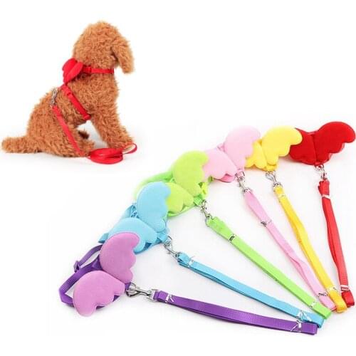 Fashion Angel Pet Dog Leashes Collars Set Puppy Outdoor Walking Harness leash Cats small dog Adjustable Rope Pet Accessories