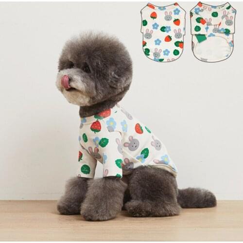 Cartoon Cat Clothes Pet Dog Clothes for Small Dogs Winter Dog Costume Soft Warm Pets Acessorios Chihuahua Product Kitten Outfit