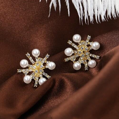 Sweet Girl Earrings Korean Fashion New Temperament Earrings Wild Net Red Pearl Crystal Earrings Womens Wholesale