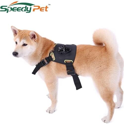 2017 NEW GOPRO Harness For Dog Accessory For Double Positions Before Chest And On The Back Camera fixed chest strap adjustable