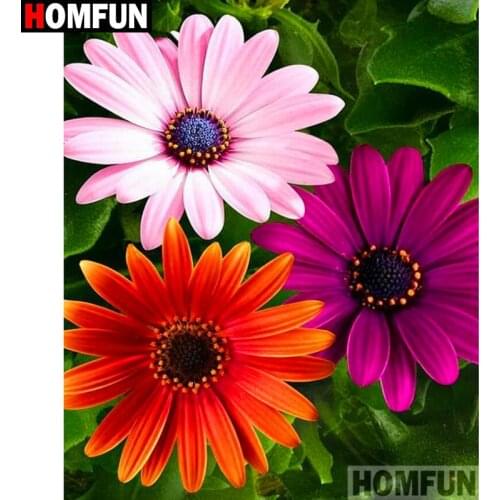 HOMFUN Full Square/Round Drill 5D DIY Diamond Painting "Colored daisy"3D Diamond Embroidery Cross Stitch Home Decor A20061