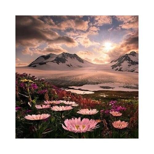 Diy Diamond Painting Cross Stitch Diamond Embroidery New Fashion Romantic Snow mountain flowers Needlework Diamond Mosaic Kits