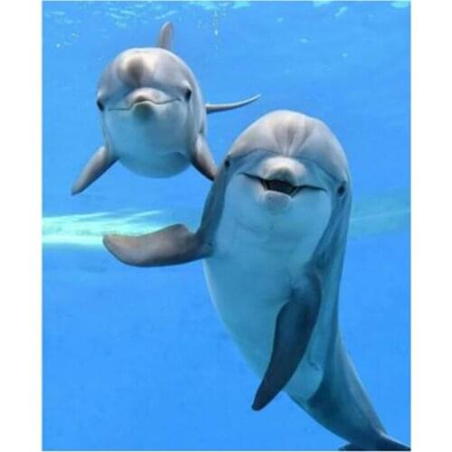 5D Full Square Round Diamond Painting Dolphin Embroidery Animals Pictures Rhinestones Mosaic Cross Stitch Handmade Gift WG2198