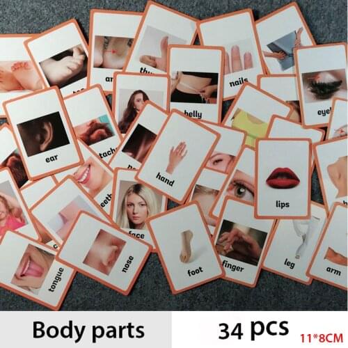 Body Parts and Occupations English Learing Card Kid Learn English Children Educational Toys English Word Card
