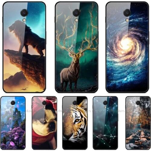Tempered Glass Phone Case For Meizu M6S Case Back Cover For Meizu M6S Silicone Bumper For Meizu S6 Case 5.7'' Coque Shell Fundas