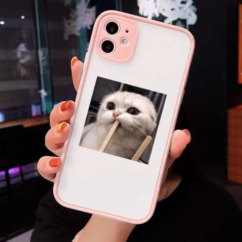 Cute Cat Animal Pattern Phone Case For iPhone 12 11 Pro 7 XS MAX X XR SE20 8 6Plus Lovely Hard Matte Back Cover Clear Coque Capa