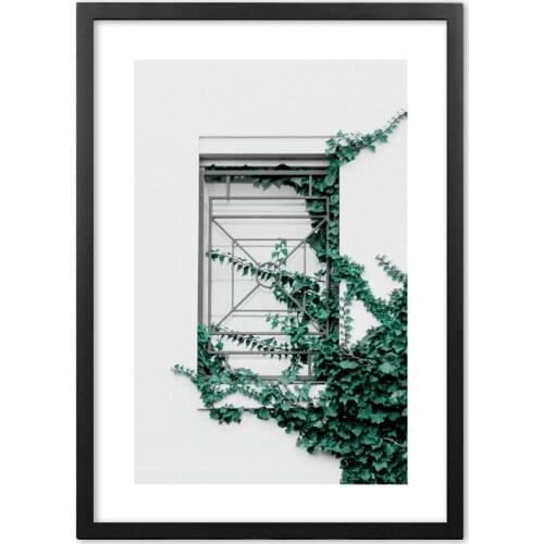 Parthenocissus Tricuspidata Plants Nordic Wall Art Print paper Painting Nordic Posters And Prints Wall Pictures For Living Room