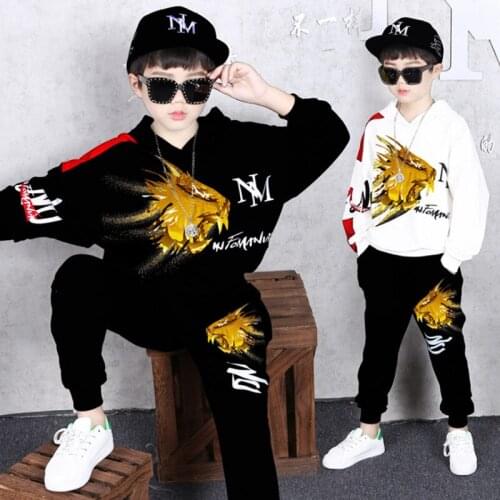 Clothes For Boys Casual Hoodies Pants Boy Clothes Set Cartoon Dragon Print Boys Clothes Fall Fashion Kids Suit For Boy Steetwear