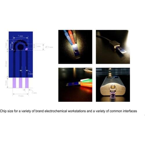 Custom SPE Multi-channel Electrochemical Biosensor Chip Screen Printing Electrode Personalized Biosensor