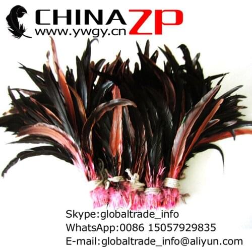 Made in CHINAZP Factory 100pieces/lot 30~35cm(12~14inch) Selected Top Quality Dyed Pink and Natural Long Rooster Tail Feathers