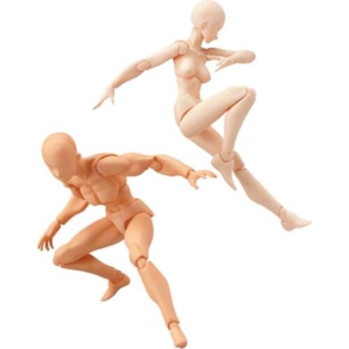 13CM Smooth Men Women Skin Color Muscle Body Part Change Collectible Model Six Types Selectable Paint Pops Kids Learning Pop
