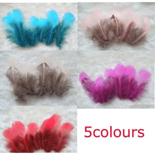 200Pcs/Lot 5-8cm Nature Lady Amherst Pheasant Plumage Feathers Crafts Jewelry Fly Tying,Lady Amherst Feathers,5Colours
