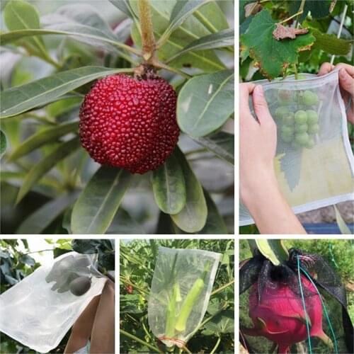 5pcs 15-140cm 40Mesh Nylon Net Bag Fruit Vegetable Protection Cover Anti Mosquito Flies Insect Netting Garden Pest Control Net